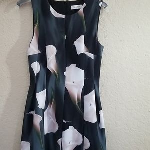 Calvin Klein Dress